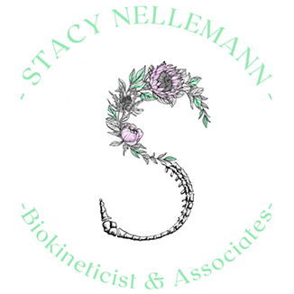 Stacy Nellemann Biokineticist & Associates logo