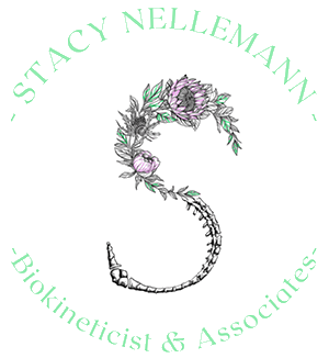 Stacy Nellemann Biokineticist & Associates logo